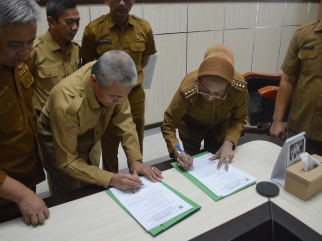 WhatsApp Image 2026-03-10 at 14.03.06