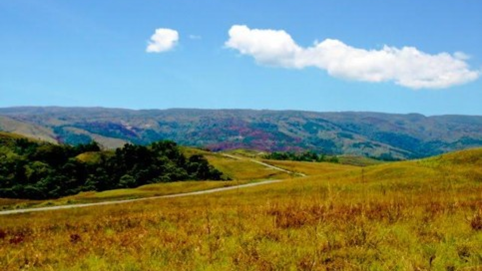 Picture9